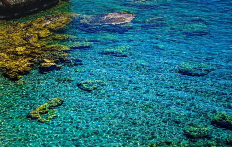 Entdecke die Unterwasserwelt auf deiner Kreta Selbstfahrerreise