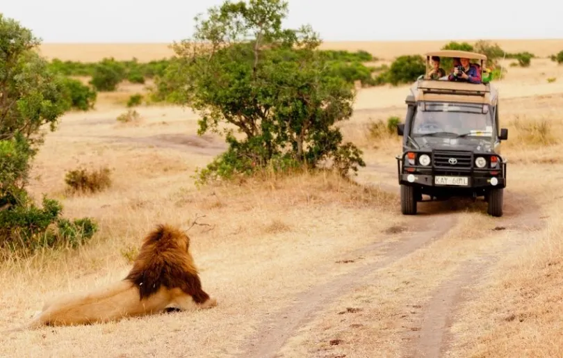 Auf Safari mit einem lokalen Guide