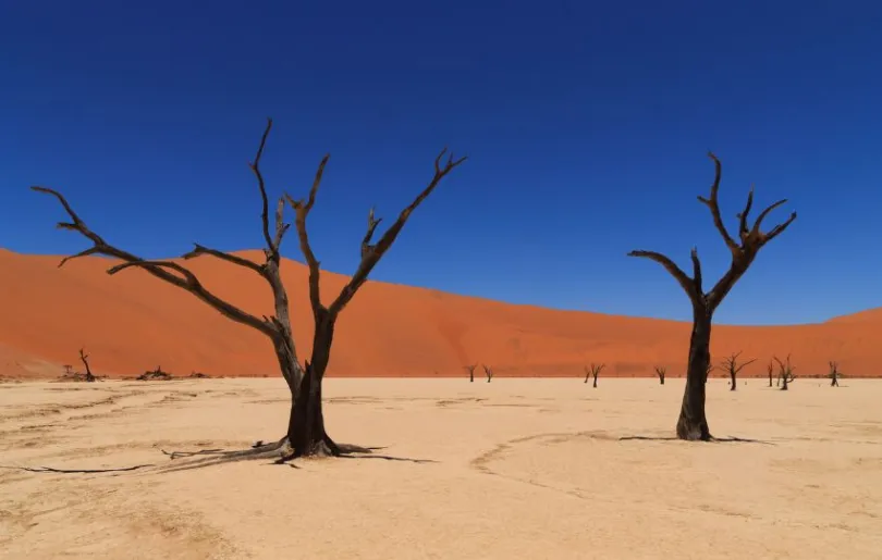 Faszinierende Landschaft in Namibias Wüste
