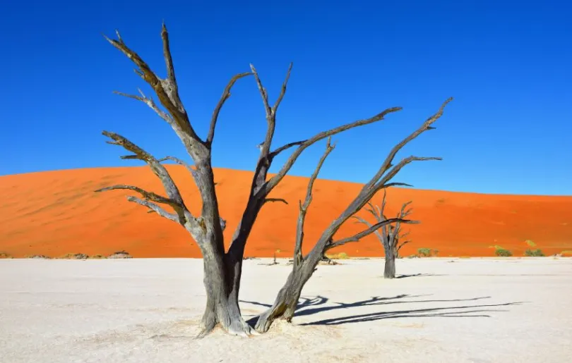 Erlebe die einmalige Landschaft Namibias