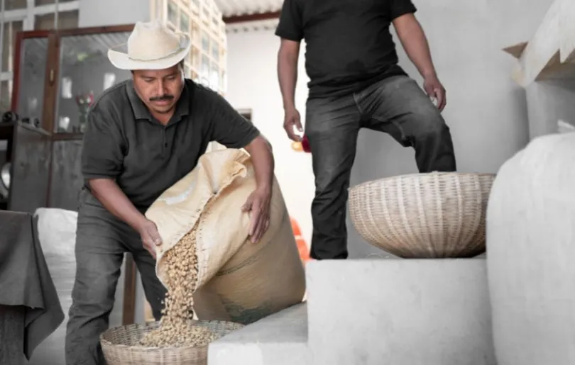 Erlebe Kaffeegenuss auf der Kaffeeroute Mexikos