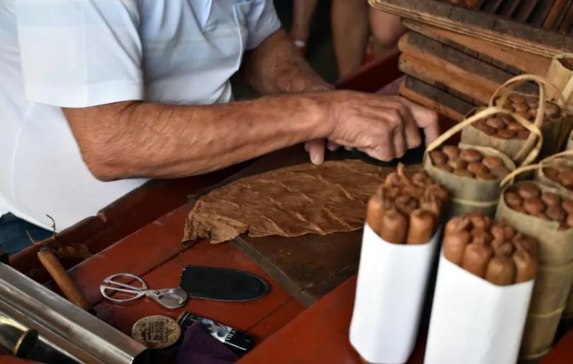 Besuche eine Zigarrenmanufaktur auf Kuba