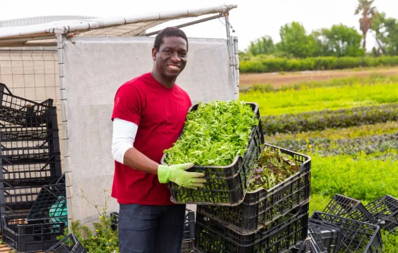 Lokaler Farmer in Namibia