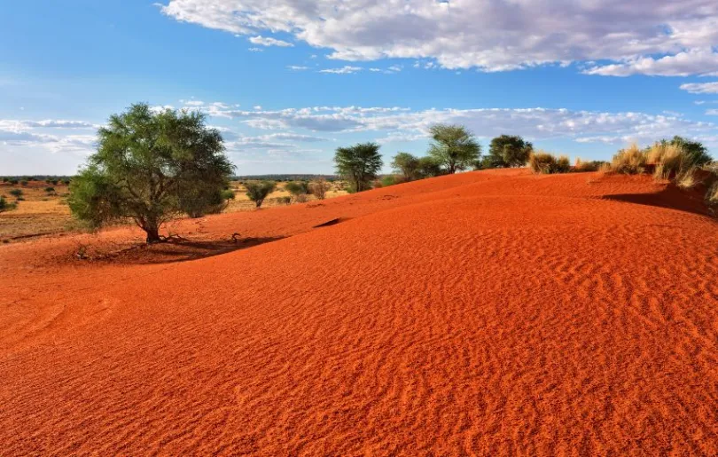Entdecke die leuchtenden Farben auf deiner Namibia Rundreise
