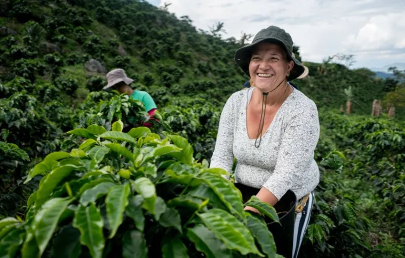 Besuche in deinem Kolumbien Urlaub eine Kaffeeplantage