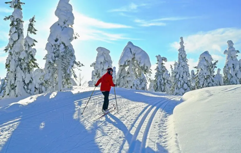 Probiere bei deiner Winterreise nach Schweden Langlauf aus