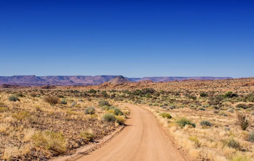 Entdecke Naries auf deiner Südafrika Selbstfahrer Reise