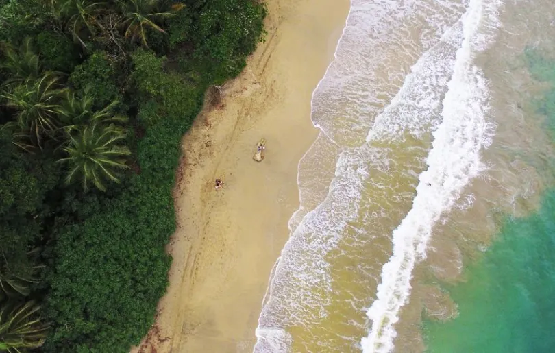 Blick von oben auf einen Strand in Costa Rica