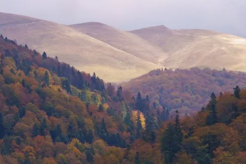 Entdecke das Prahova Tal bei deiner Rumänien mit Kindern Reise