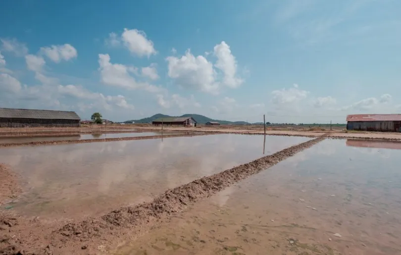 Entdecke Salzfelder auf deiner Reise durch Kambodschas wilden Nordosten