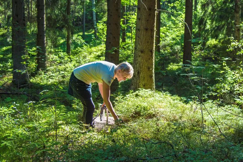 Beeren sammeln in Finnland