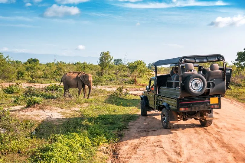 Ideales Reiseziel für Februar: Tansania