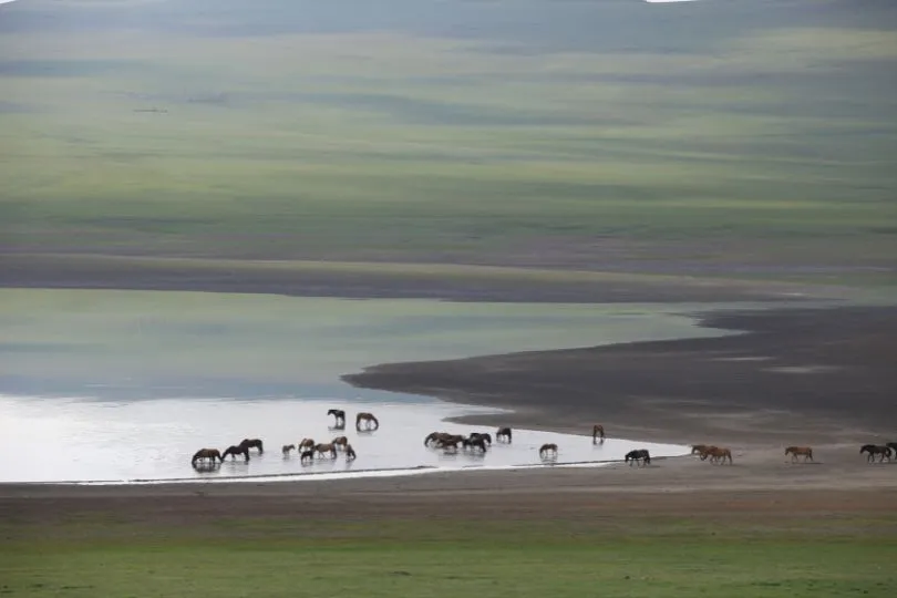 Der Nationalpark um die Blaue Perle der Mongolei ist eine beliebte Sehenswürdigkeit