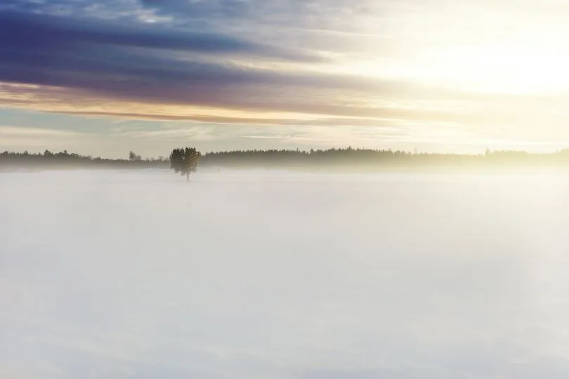Entdecke schöne Morgende auf deiner Sala Schweden Reise