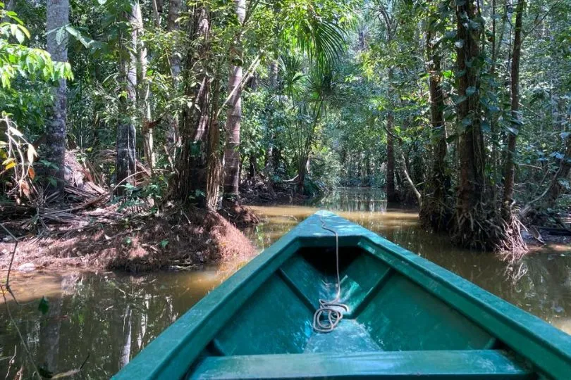 Mit dem Boot durch den Dschungel Perus