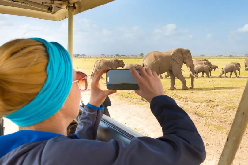 Finde bei deiner Safari die richtige Balance zwischen Fotografieren und Beobachten