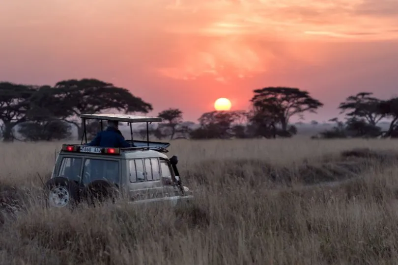 Wunderschöner Sonnenuntergang bei der Safari in Tansania