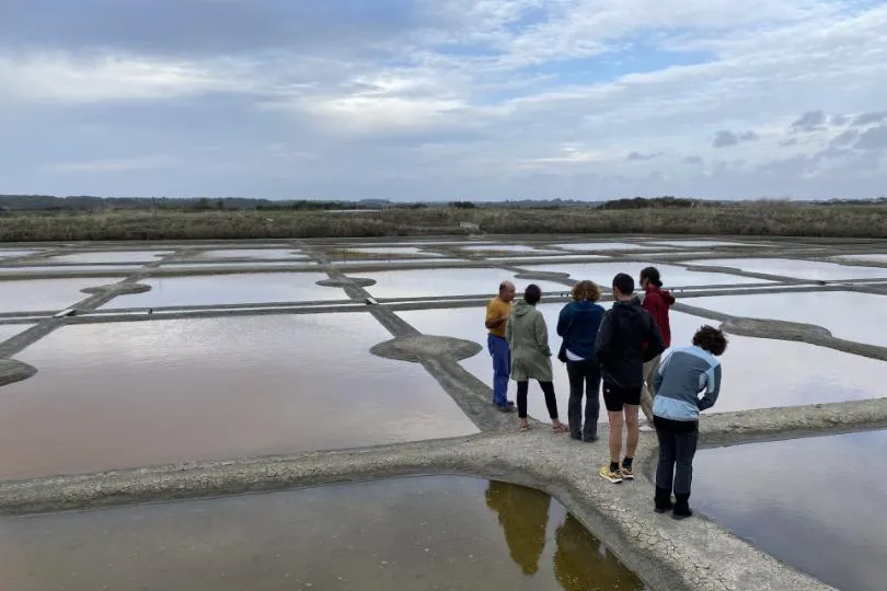 Bretagne zoutvlakte Guerande