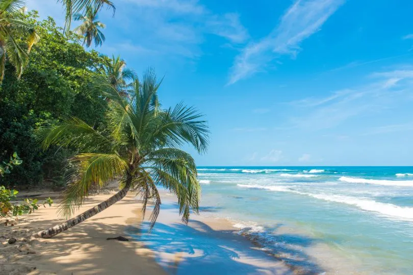 Erkunde Puerto Viejo de Talamanca auf deiner Costa Rica Mietwagenrundreise