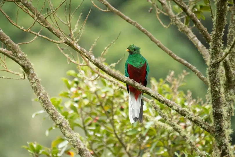 Erkunde Quebrada auf deiner Costa Rica Mietwagenrundreise