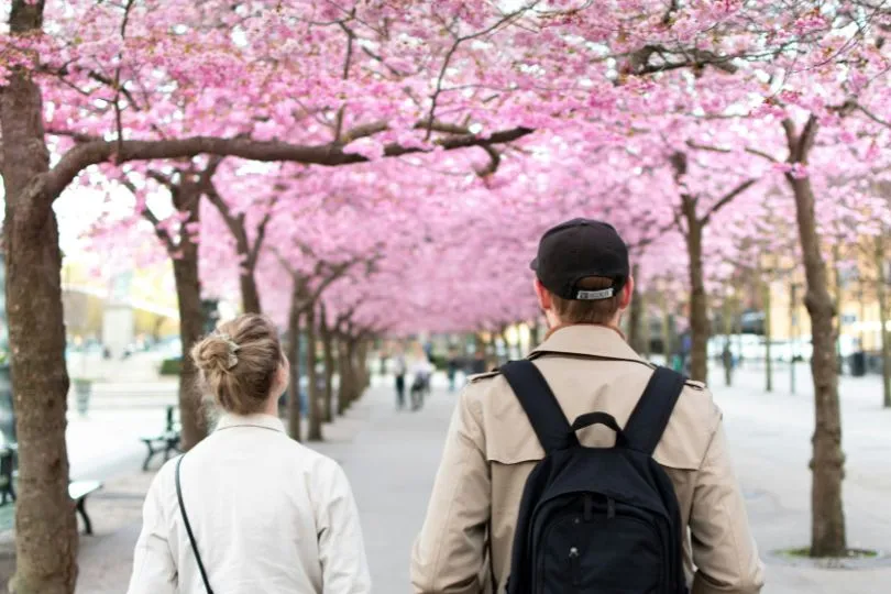 Entdecke Stockholm auf deiner Suedschweden Rundreise mit dem Auto