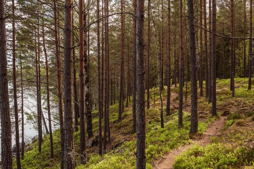 Entdecke Tiveden auf deiner Suedschweden Rundreise mit dem Auto