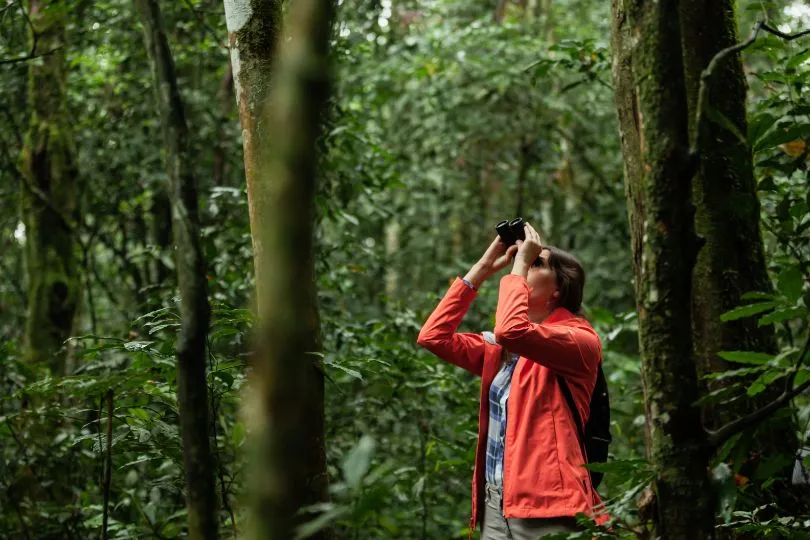 Entdecke den Kibale Wald bei deiner Uganda Tansania Reise