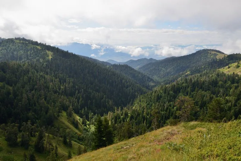 Nationalpark Borjomi