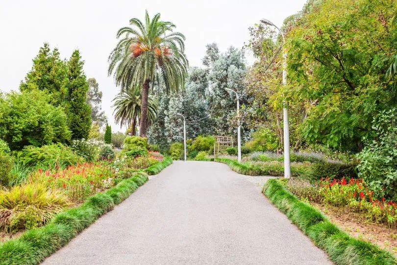 Botanischer Garten in Batumi in Georgien