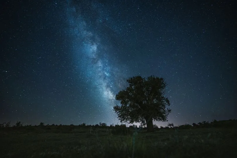 Sternenhimmel in der Serengeti in Tansania