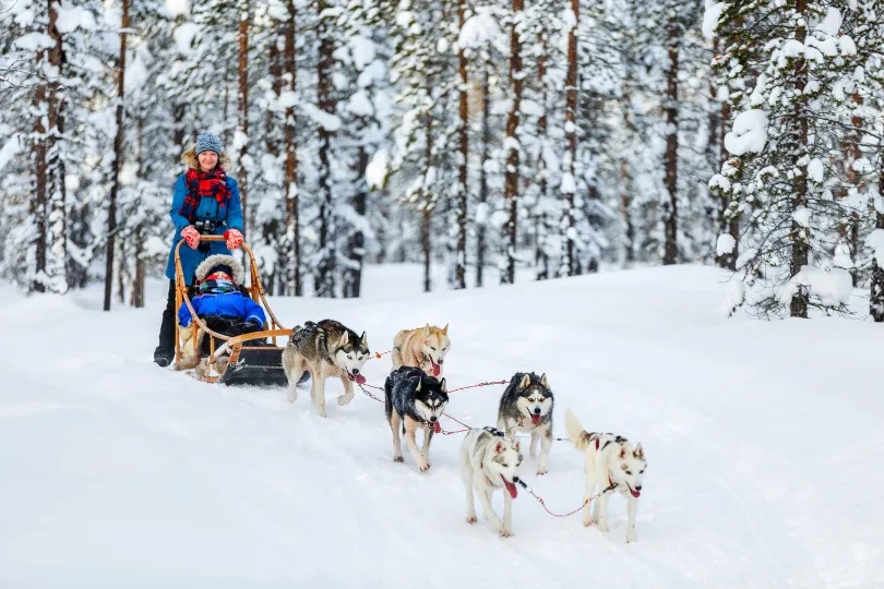 Norwegen Huskyschlitten