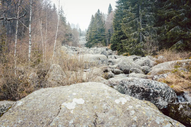 Vitosha Gebirge Bulgarien