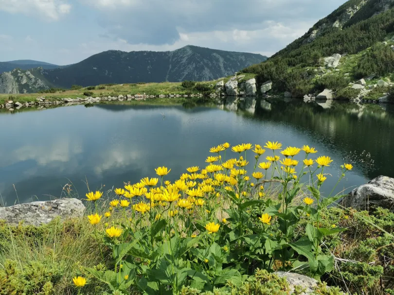 Bulgarien - Bergmeer