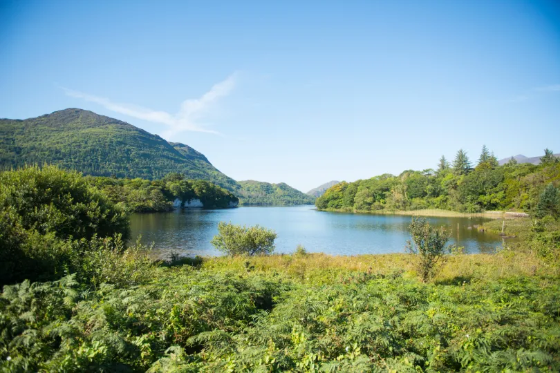 Irland Killarney National Park