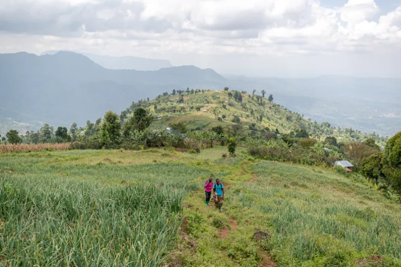 Mount Elgon in Uganda.