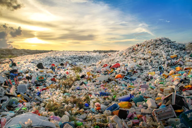 Plastik Müll