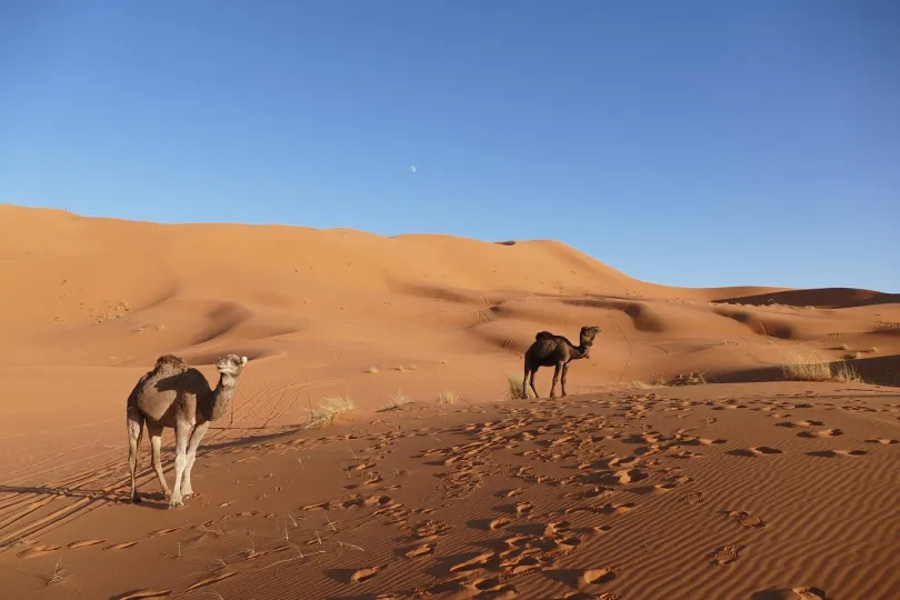 Merzouga, Marokko.