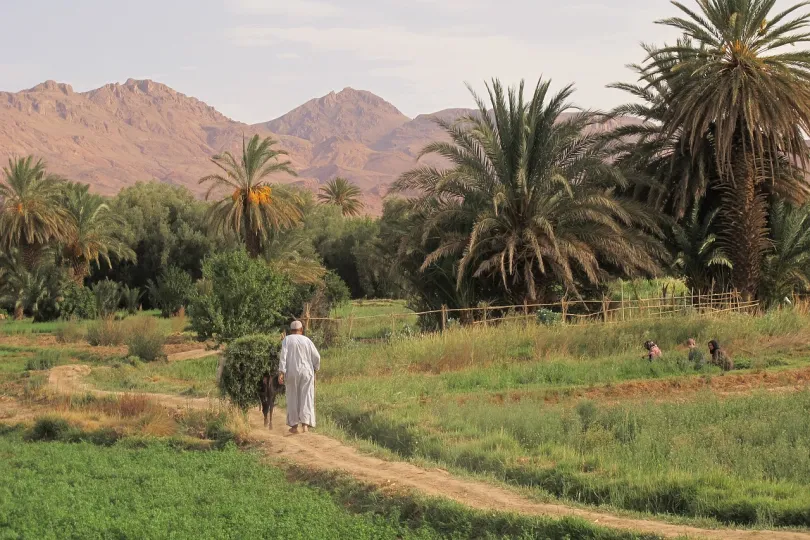 Oasis Tinerhir, Marokko.
