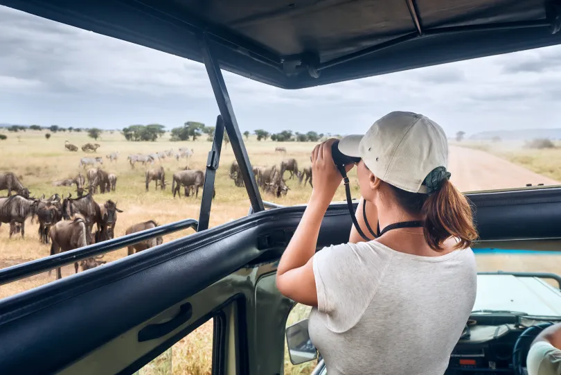 Auf Safari in Afrika Safariauto Reisegepäck.