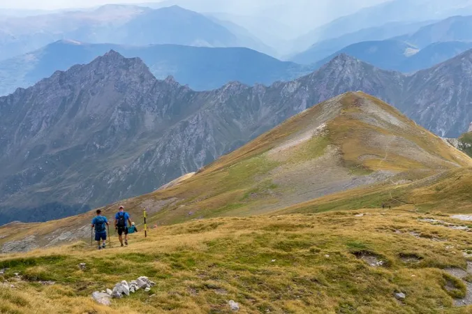Zwei Reisende wandern in der Natur.