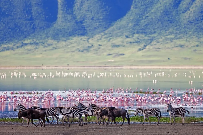 Wildtiere im Ngorongoro-Krater.