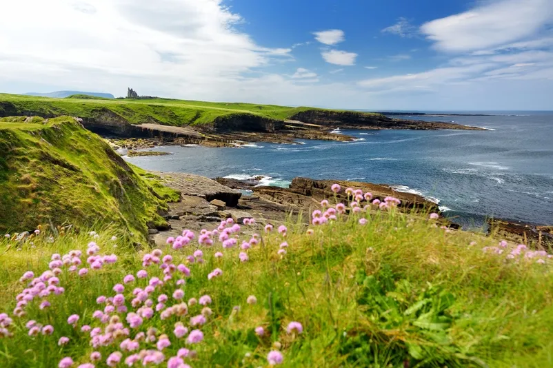 Irland mit Kindern - Aussicht auf die Landschaft von Mullaghmore Head.