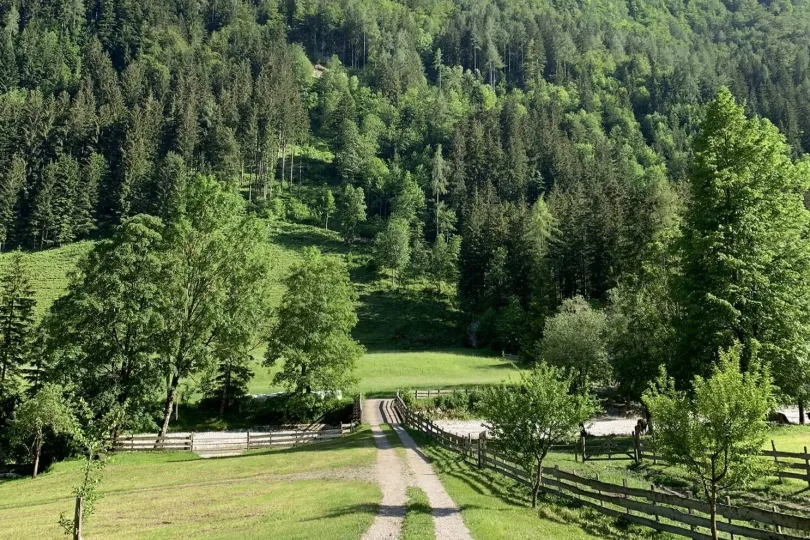 Aufnahme auf den Wandenpaden in Alpen, Slowenien.