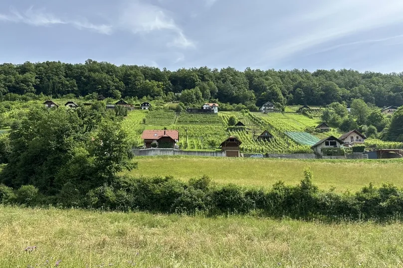 Dolenjska Weingarten in Slowenien.