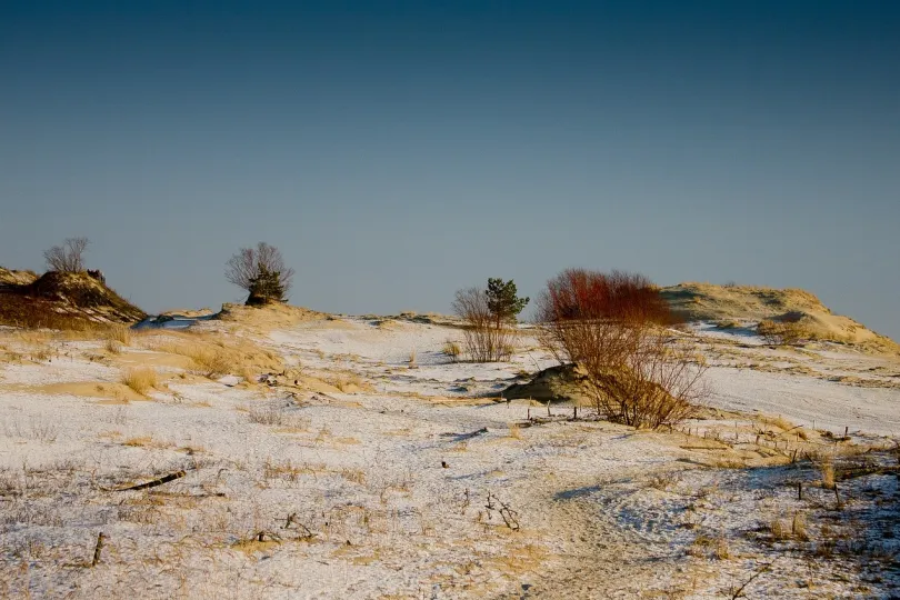 Trockene Dünenlandschaft mit weißem Sand und trockenen Wildpflanzen.