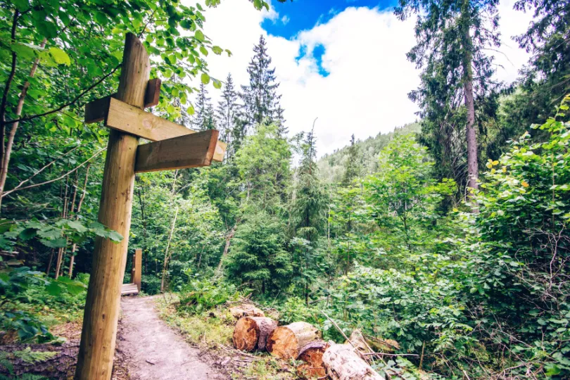 Aussicht auf dem Bergen mit einem Wanderweg im Wald in Sigulda, Lettland.