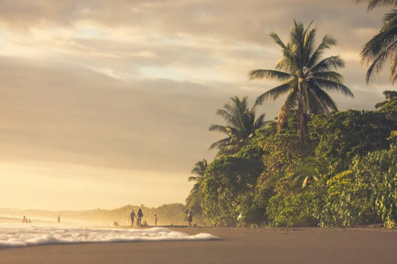 Sonnenunterganf am Palmenstrand in Costa Rica.