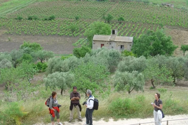 Landschaftbild mt einem Weinberg im Hintergrund.