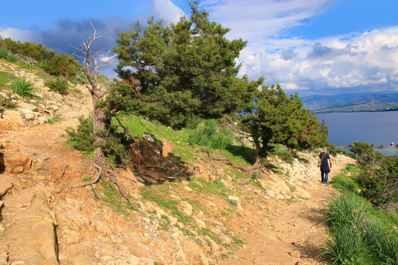Ein Mann auf dem Aphrodite Wanderweg auf Zypern.