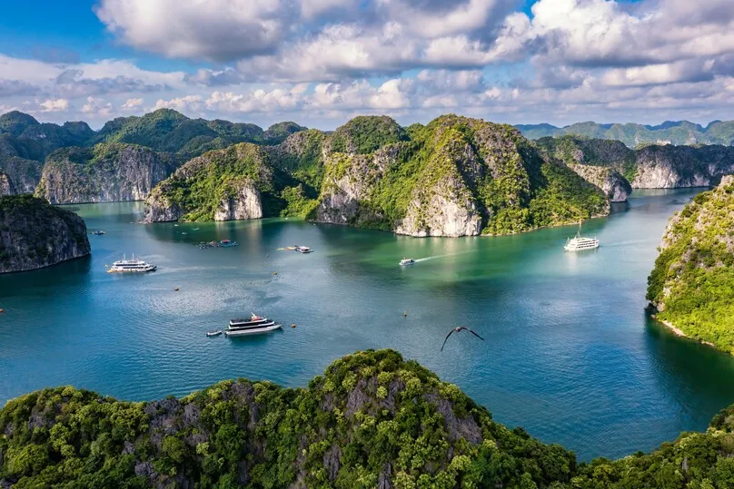 Luftaufnahme auf Lan Ha Bucht, Vietnam.